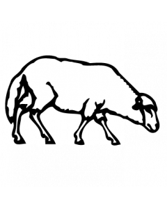 mouton1