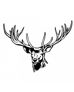 cerf1