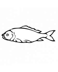 poisson6