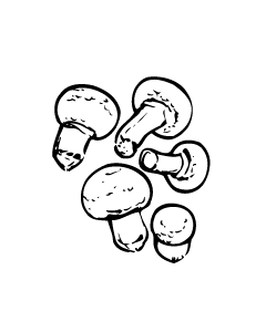 champignon