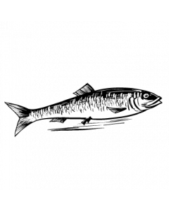 poisson-hareng