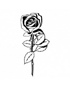 rose7