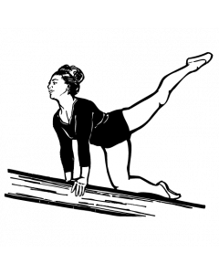 gymnaste15
