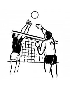 volley
